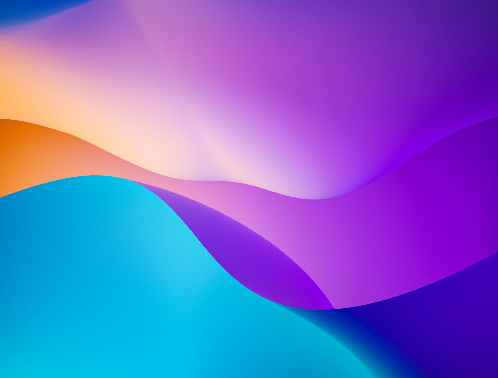 Nebula Brand Identity